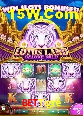 Experiência VIP BeTTigre